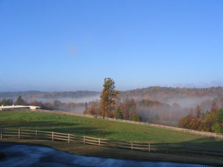 Things to Do in North Georgia
