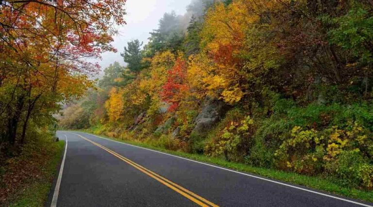 Things to Do in Luray,VA